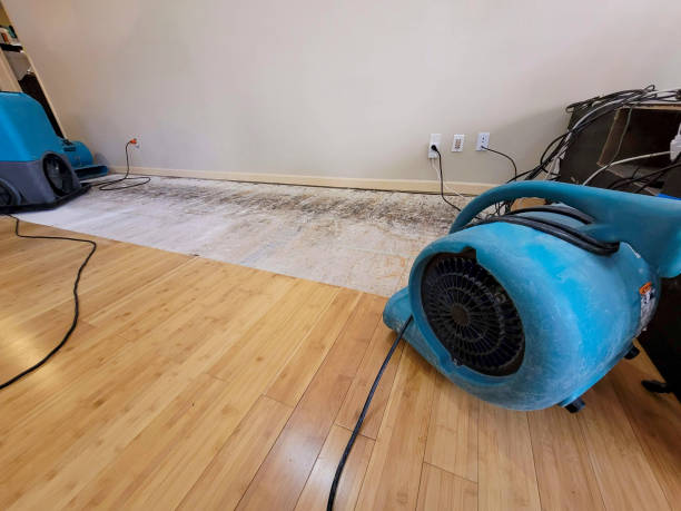 Professional Sewage Cleanup technician working in Mulliken, MI